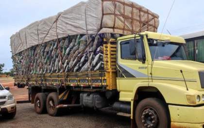 Caminhão transportando carvão ilegalmente é apreendido pela PMA de Bataguassu