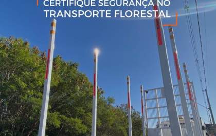 Fueiros ExTe: a combinação mais forte e mais leve para o transporte florestal