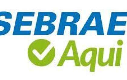 Curso gratuito “Organize seu negócio” no Sebrae Aqui Andradina