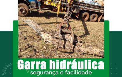 Precisa retirar árvores derrubadas pela chuva? Conte com a locação de maquinários da Poliplan
