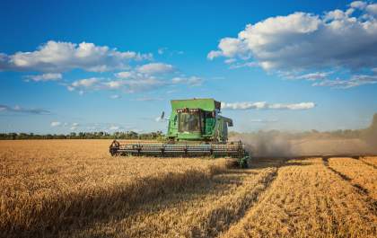 Empregos no setor da agropecuária crescem mais de 60% em um ano em MS