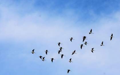 Sábado será de sol e altas temperaturas em Mato Grosso do Sul