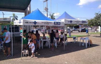 Projeto incentiva e aumenta a imunização de animais em Três Lagoas