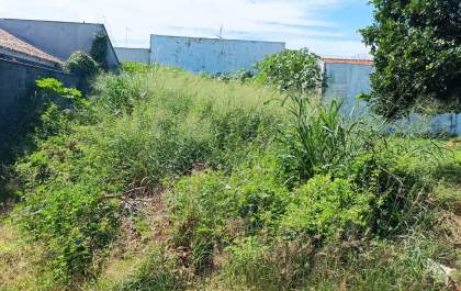 Terreno abandonado no Iporã é alvo de queixa