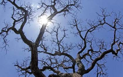 Temperaturas caem e domingo de Páscoa deve ter frio em regiões de MS