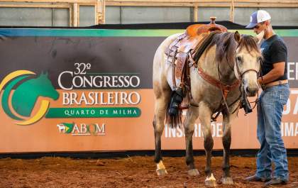 Congresso Brasileiro do Quarto de Milha tem início em Araçatuba