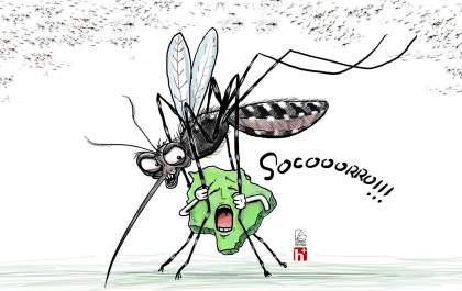 Dengue: MS em situação de emergência