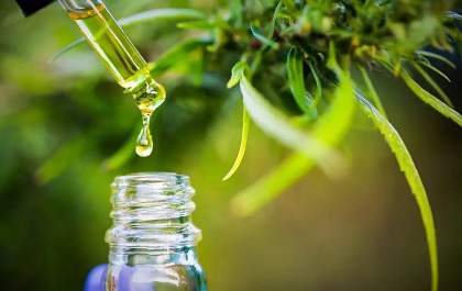 Cannabis medicinal pode aliviar sintomas da Síndrome de Burnout