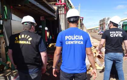 Polícia Civil incinera mais de 800 kg de maconha em Três Lagoas