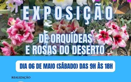 Asilo Betel promove exposição de Orquídeas e Rosas do Deserto no próximo dia 06 de Maio