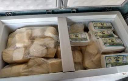 Polícia apreende 6 toneladas de carne de açougue clandestino e 6 pessoas em flagrante