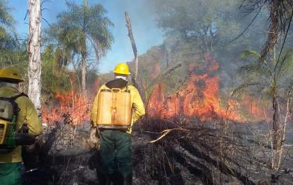 318 Propriedades Rurais com Risco de Incêndio no Pantanal