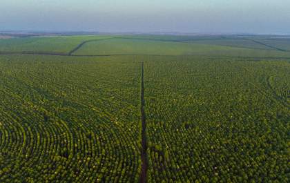 Eldorado Brasil integra ação para divulgar medidas anticorrupção