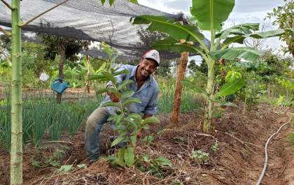 Suzano incentiva Integração Lavoura-Pecuária-Floresta na região leste de Mato Grosso do Sul