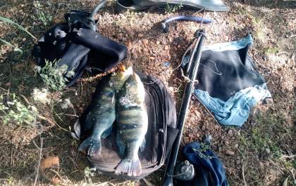Polícia Ambiental multa pescador por pesca em local proibido