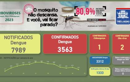 Boletim dengue atualizado