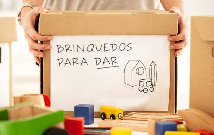 Câmara aprova sistema de arrecadação de brinquedos e livros infantis em Birigui