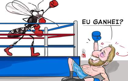 Xô dengue