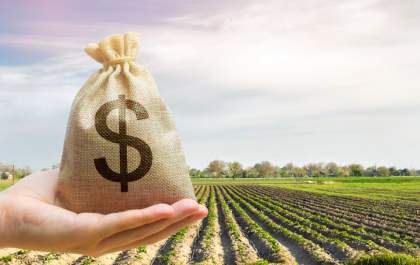 Sicredi oferece nova linha de crédito rural em dólar