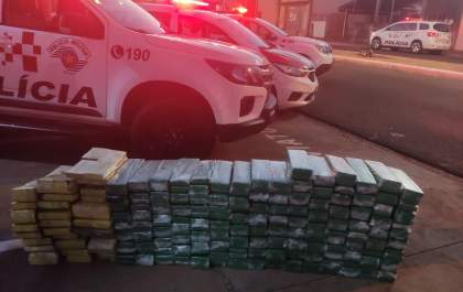 Polícia apreende 306 kg de maconha