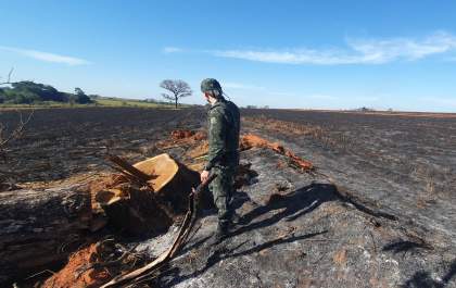 PM Ambiental autua empresa por usar fogo para renovar canavial em Birigui