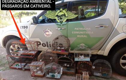 Homem recebe multa ambiental por captura e venda de aves silvestres