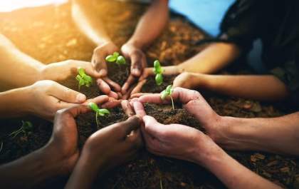Semana do meio ambiente: ações começam nesta quarta-feira (31)
