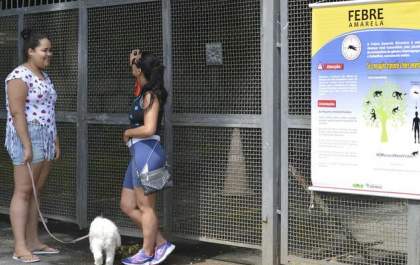 Febre amarela volta a ser registrada em São Paulo
