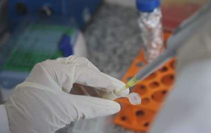 Vacina contra crack e cocaína desenvolvida no Brasil impede que drogas cheguem ao cérebro