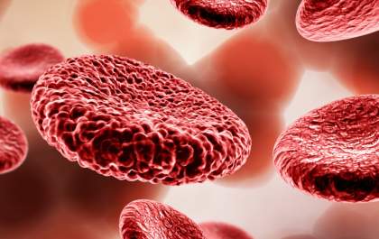 Talassemia: Conheça a anemia hereditária que afeta a produção de hemoglobina