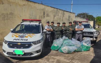 Polícia apreende quase 500 tijolos de maconha em rodovia