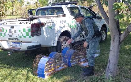 Indivíduo é autuado por manter animais da fauna silvestre em cativeiro