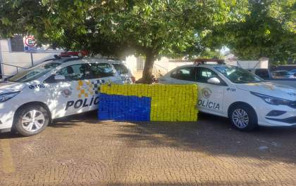 Adolescentes de 14 e 15 anos estariam com picape com quase meia tonelada de maconha