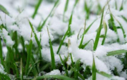 Neve no Brasil: temperaturas ficam abaixo de 0 e pode nevar nestas regiões