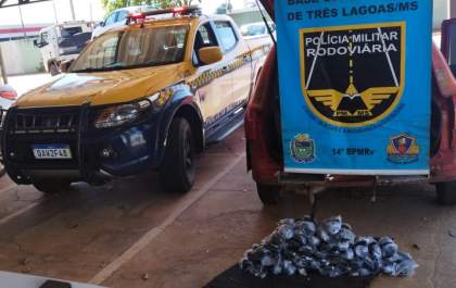 Homem que transportava entorpecente em compartimento oculto de veículo é preso em Três Lagoas