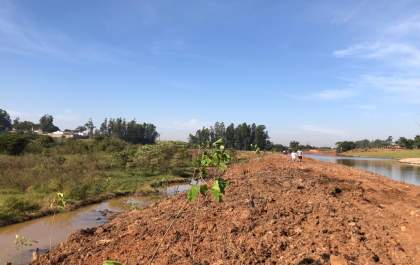 Vereadores derrubam novo veto a projeto de proteção do Baixotes