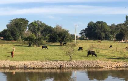 Publicada lei que prevê a preservação do ribeirão Baixotes