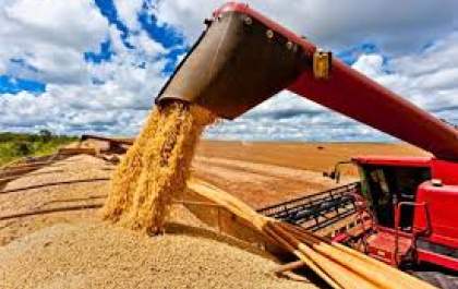 Produção agrícola do Estado deve superar 72 milhões de toneladas com renda acima dos R$ 52 bilhões