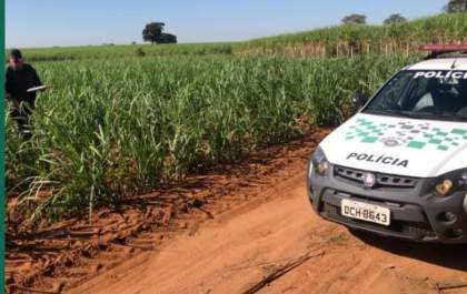 Homem é autuado por degradação ambiental contra flora