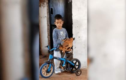 Galinha de estimação ajuda menino autista em momentos de crise: 'Acalenta', diz mãe