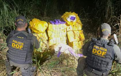 DOF apreende quase R$ 1 milhão em drogas em mata