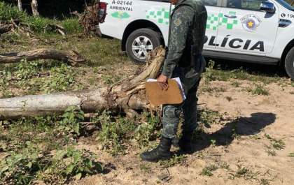 Indivíduo é autuado por irregularidades contra a flora ambiental