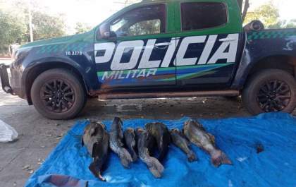 Operação da PMA resulta em apreensão de pescado ilegal e multa de R$ 2.5 mil para o pescador