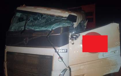 Tora de eucalipto cai de carreta e mata motorista na BR-262