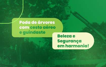 Poda de árvores: cesto aéreo e guindaste permitem beleza e harmonia