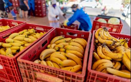 Araçatuba realiza 3ª Conferência Municipal de Segurança Alimentar e Nutricional
