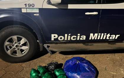 PM apreende 8kg de folha de coca em ônibus na divisa de MS com SP