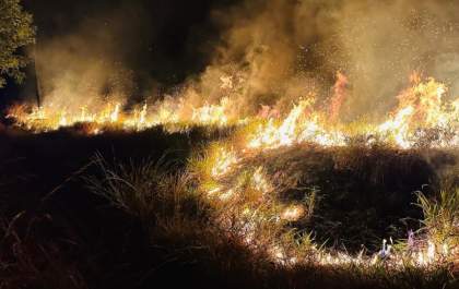 Reserva ambiental é atingida por incêndio criminoso em Três Lagoas
