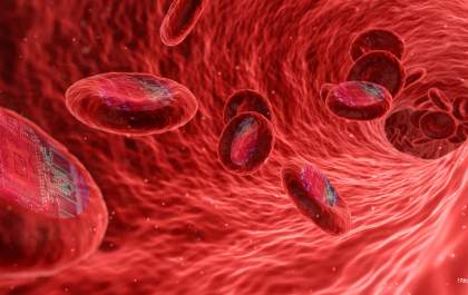 Chips Biológicos