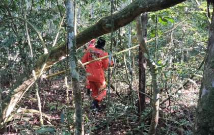 Avião de pecuarista de Araçatuba cai em Rondônia